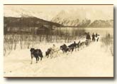 Dog sled team on the Iditarod National Historic Trail.