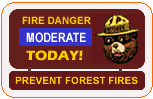 Fire Danger - moderate
