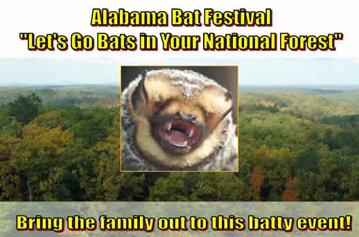 Alabama Bat Festival