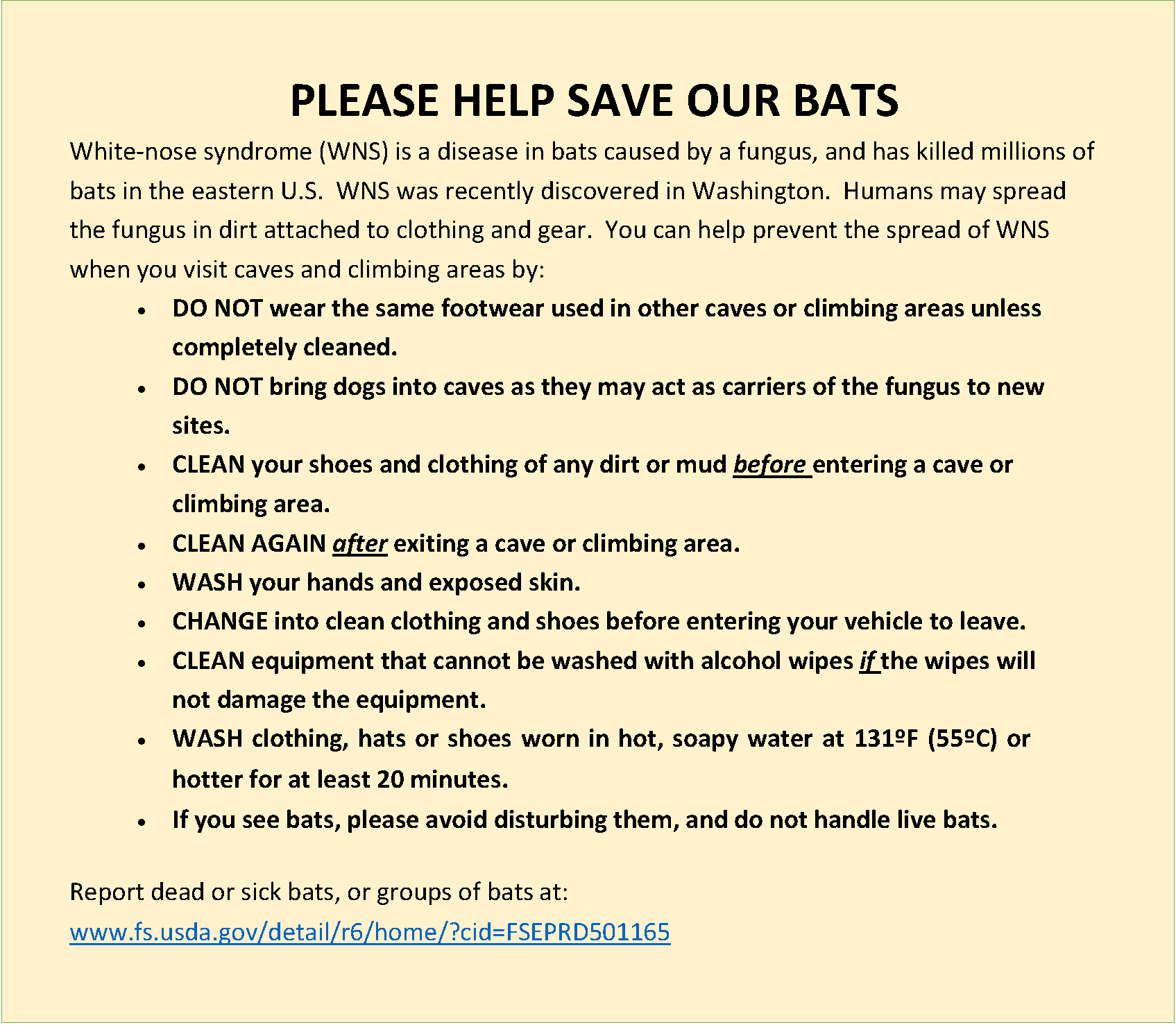 Help protect bats!