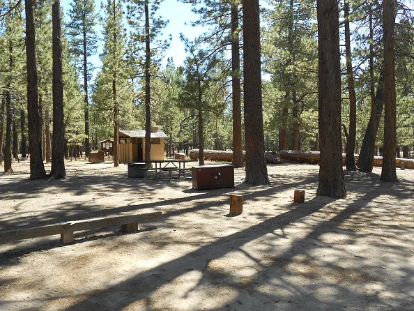 A typical campsite in Holcomb Valley with a fire ring, picnic table, bear box, and restrooms nearby.
