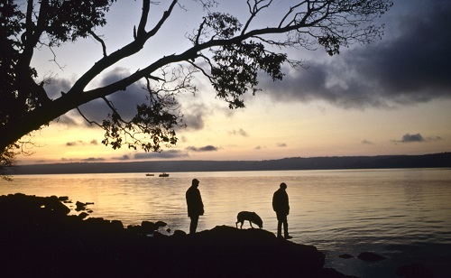 Two people and a dog along the shore at Seal Rock Campground in the morning light.