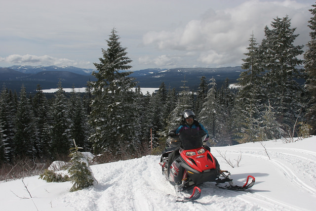 A person riding a snowmobile through a snowy winter landscape