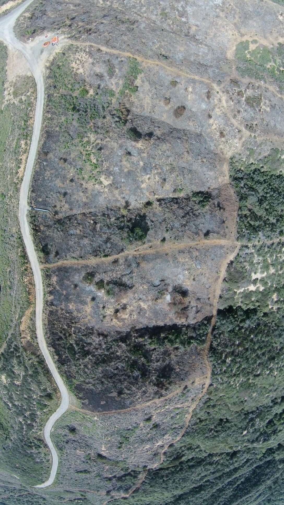 image of overhead look at a burn area