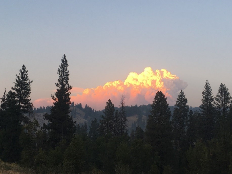 Photo of smoke of Pioneer fire over sunset landscape