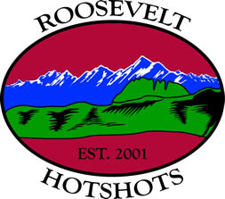 Graphic: Hotshots logo