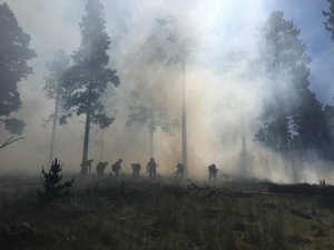 Freidlein Fire at the base of the San Francisco Peaks, June 19, 2017 (Halloran/USFS)