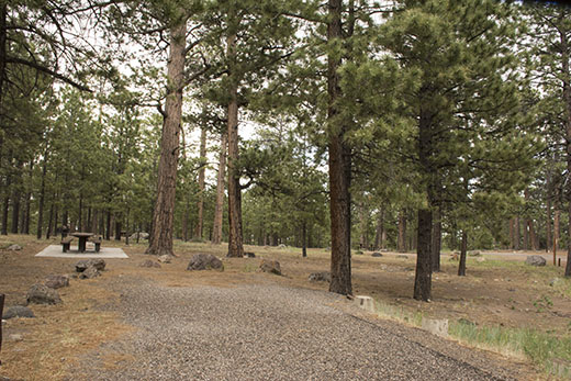 Fishlake National Forest - UPPER PLEASANT CREEK CAMPGROUND