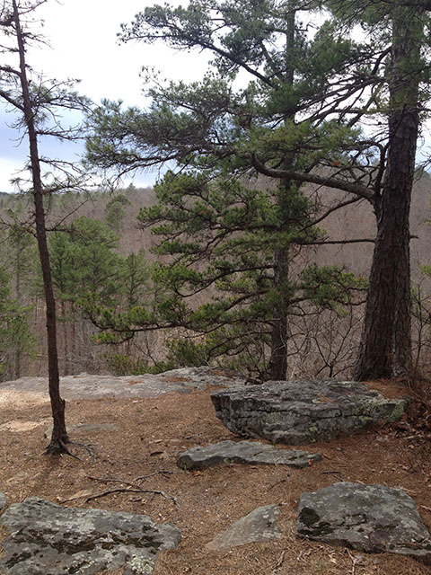 View of Patty Creek Wilderness