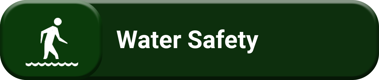 Icon for Water Safety
