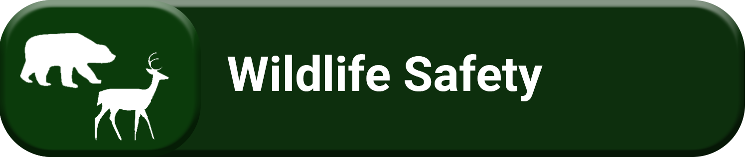 Icon for wildlife safety