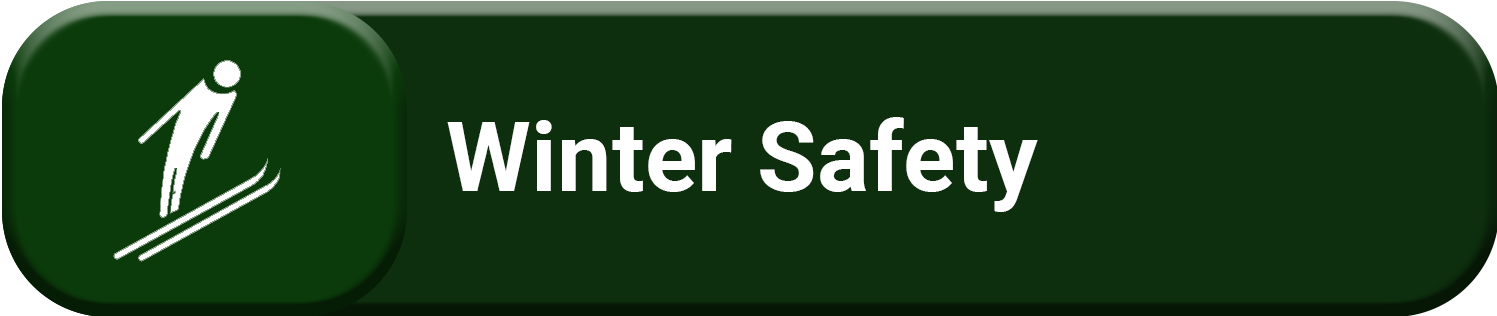 Icon for winter safety