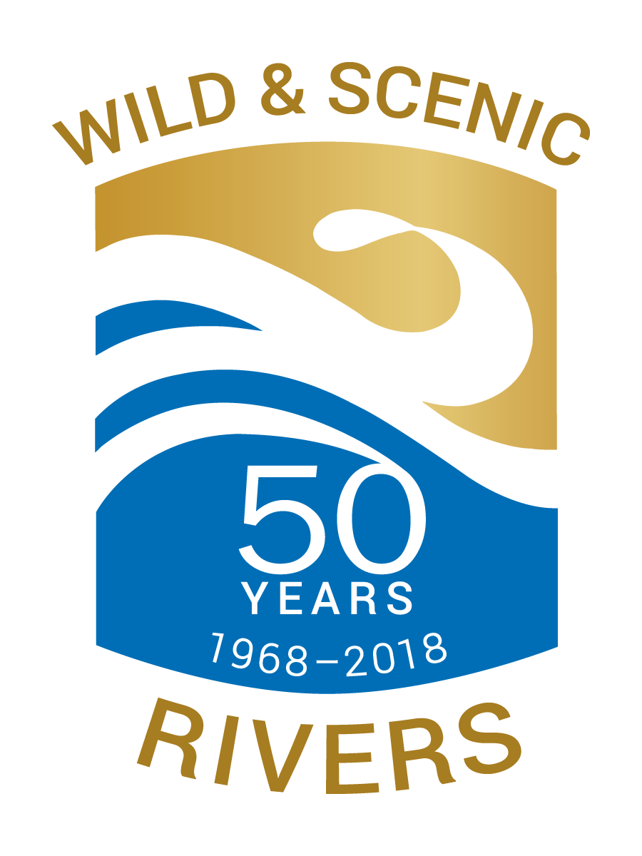 WSR 50 Logo