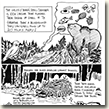 Christina created a ten page comic book showcasing the flora and fauna of the Innoko Wilderness.