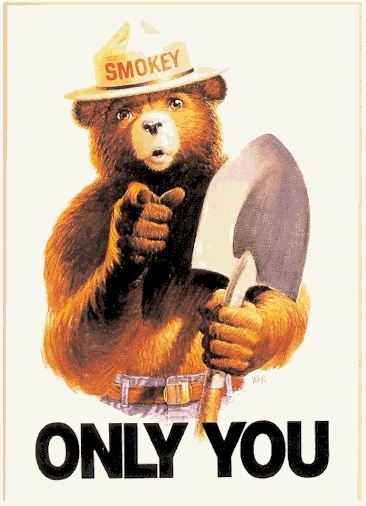 Smokey bear poster only you