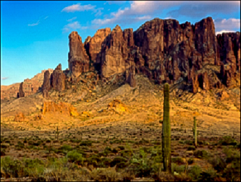 Saguaro cactus with rugged mountain sin background