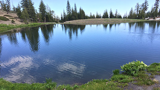 Square Lake in Yolla Bolly Middle Eel Wilderness