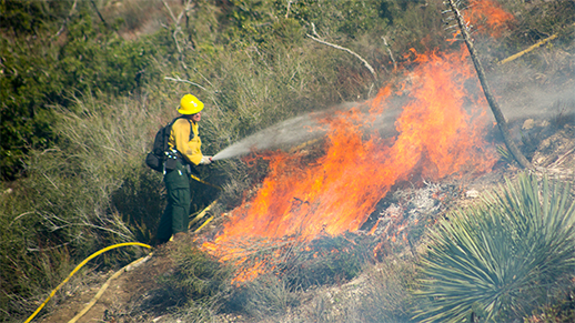 firefighter putting water on burn pile
