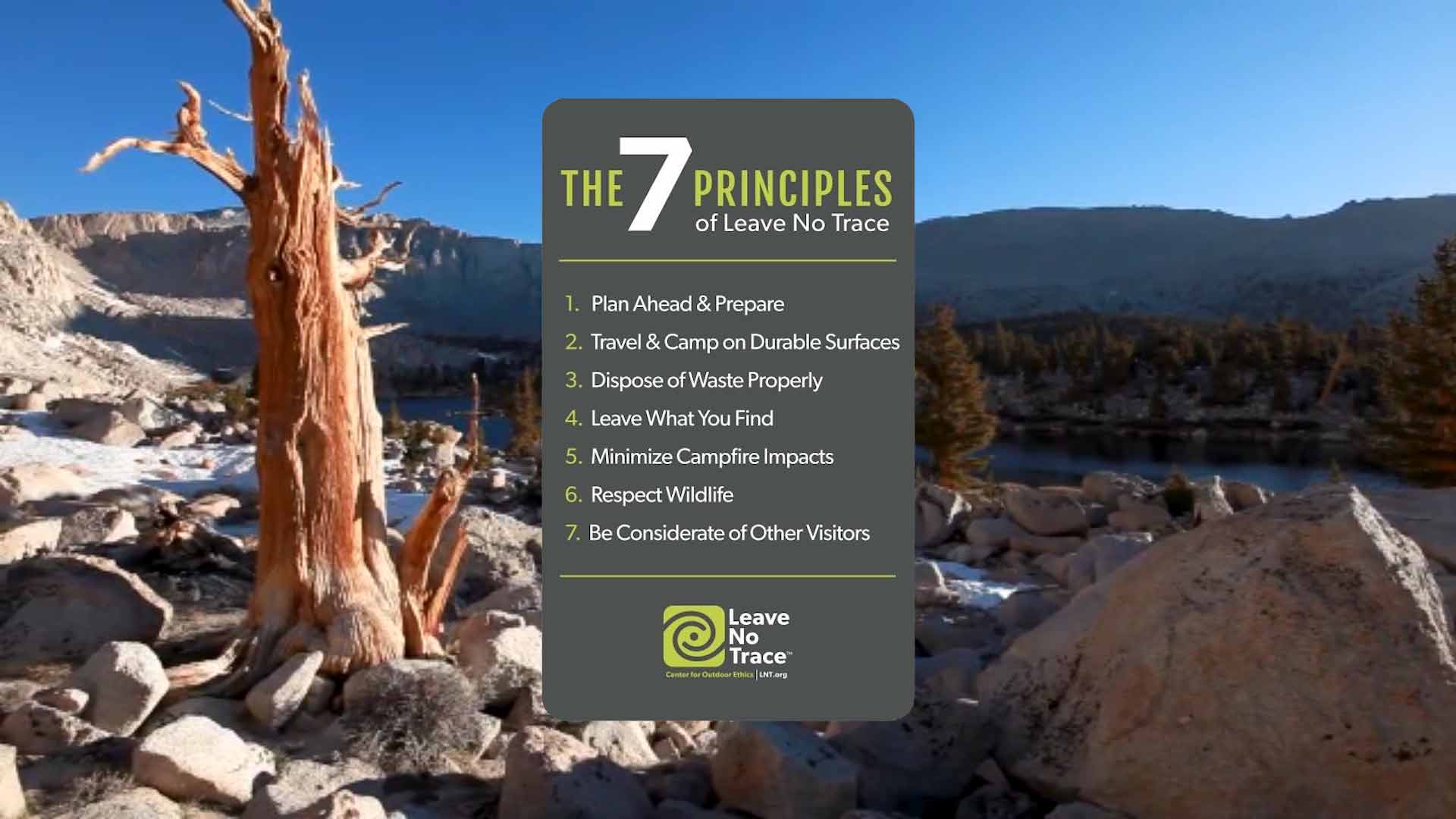 7 principles of leave no trace.