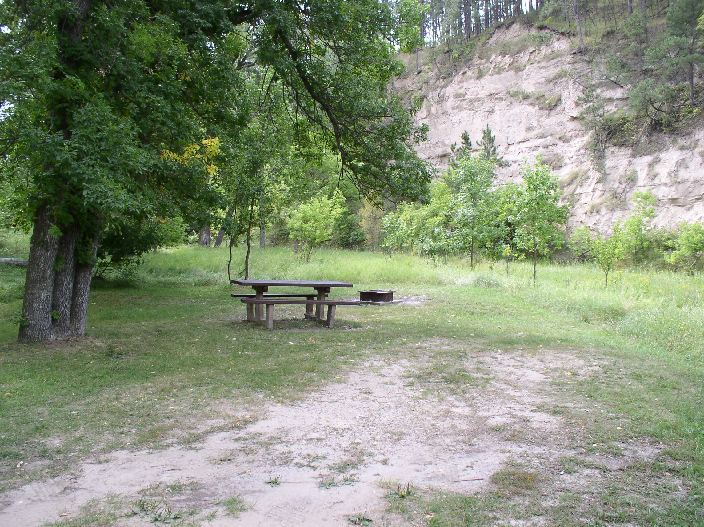 Picnic table in a primitive grassy picnic area