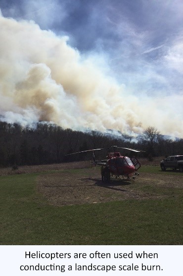 Helicopters are often used when conducting a landscape scale burn