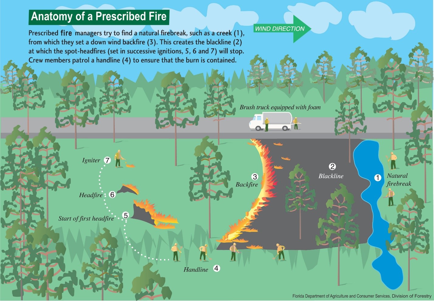 Prescribed fires consist of several elements
