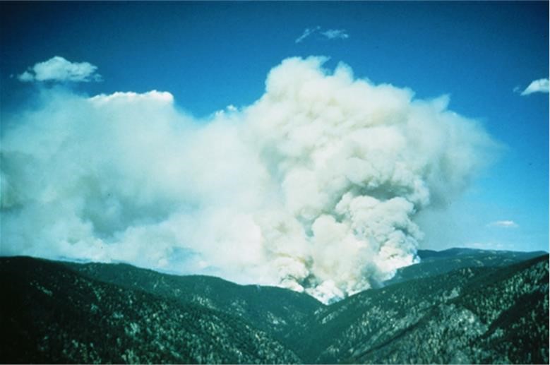 1985 Butte Fire