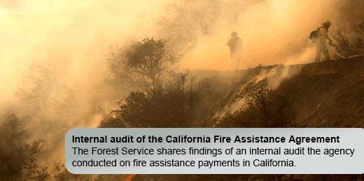 Learn more about our fire assistance payments in California.