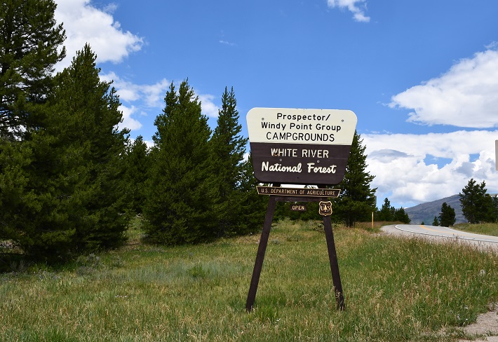 Campground sign along paved road near stand of evergreen trees.