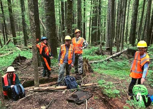A group of peoplein hard hats pause for a photo while working in the forest.