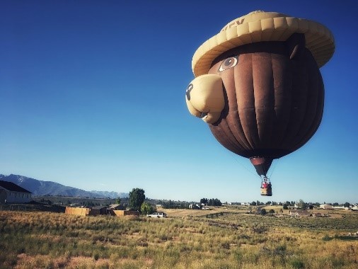 Smokey Bear Balloon