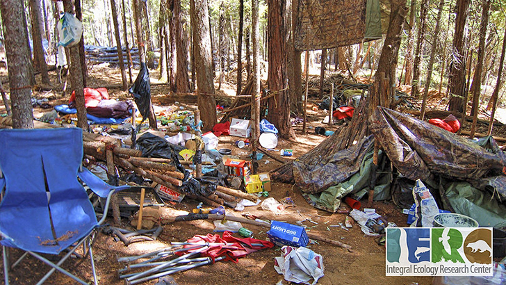 Tons of trash blanket a forest floor where an illegal marijuana grow camp was located.