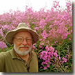 Robert stands next to the blooming fireweed at the Innoko Wilderness.