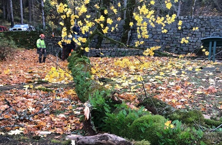 A firefighter stands near a mossy large trunk at a developed rec site with brick structures.