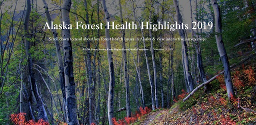 The cover of the 2019 Alaska Forest Health Highlights Storymap.