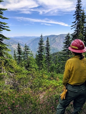 Employee in hard hat and fire shirt at Junction Mountain Lookout