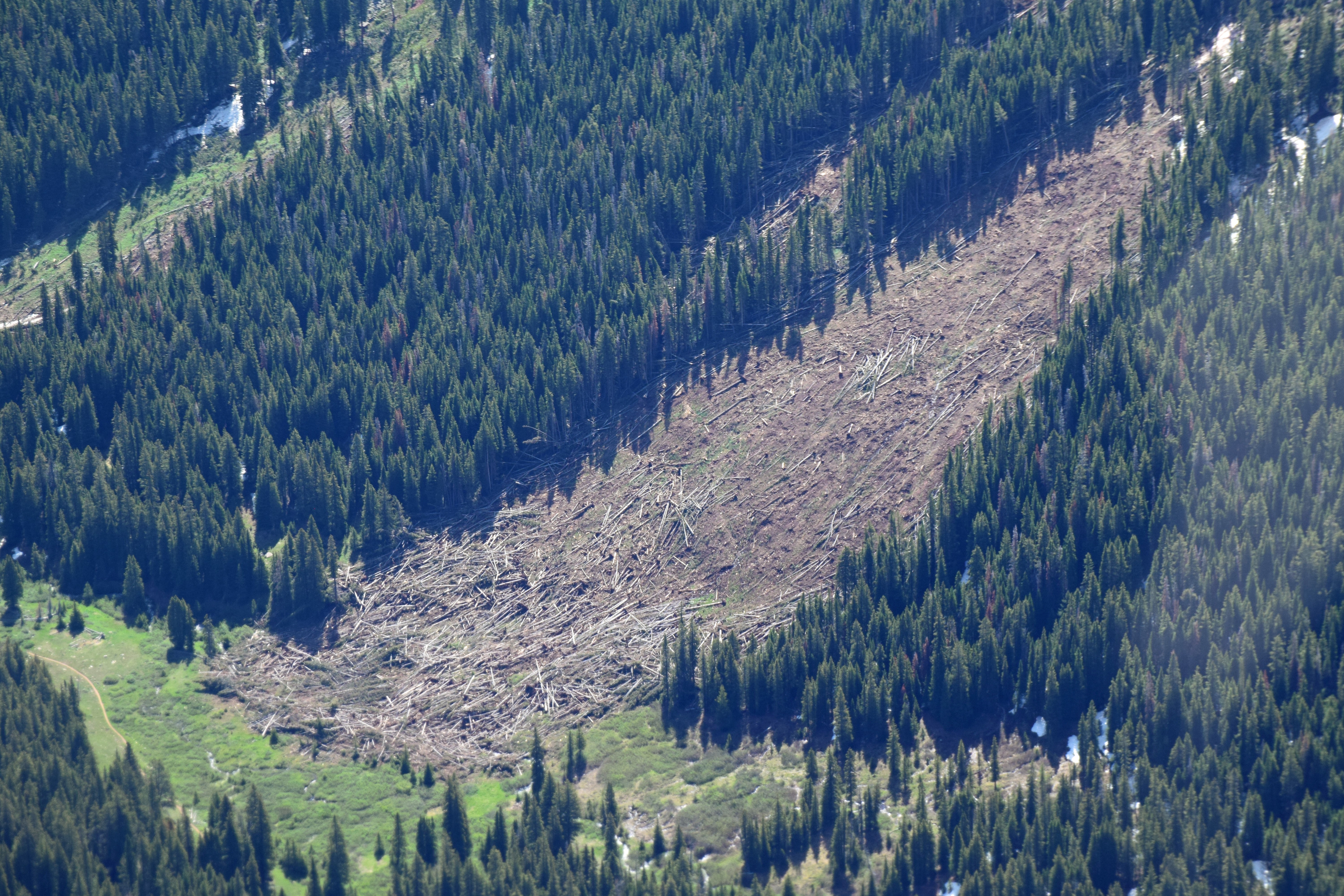 Image of an avalanche in Colorado as observed in 2019