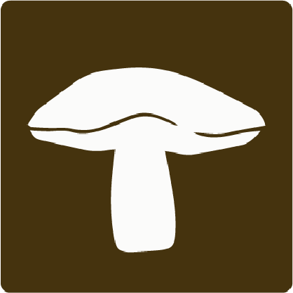 Click for mushroom info