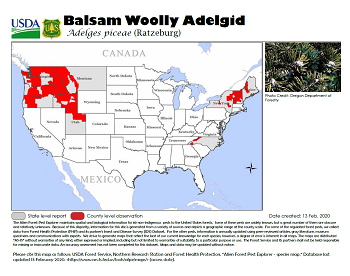 Balsam Woolly Adelgid range map in US