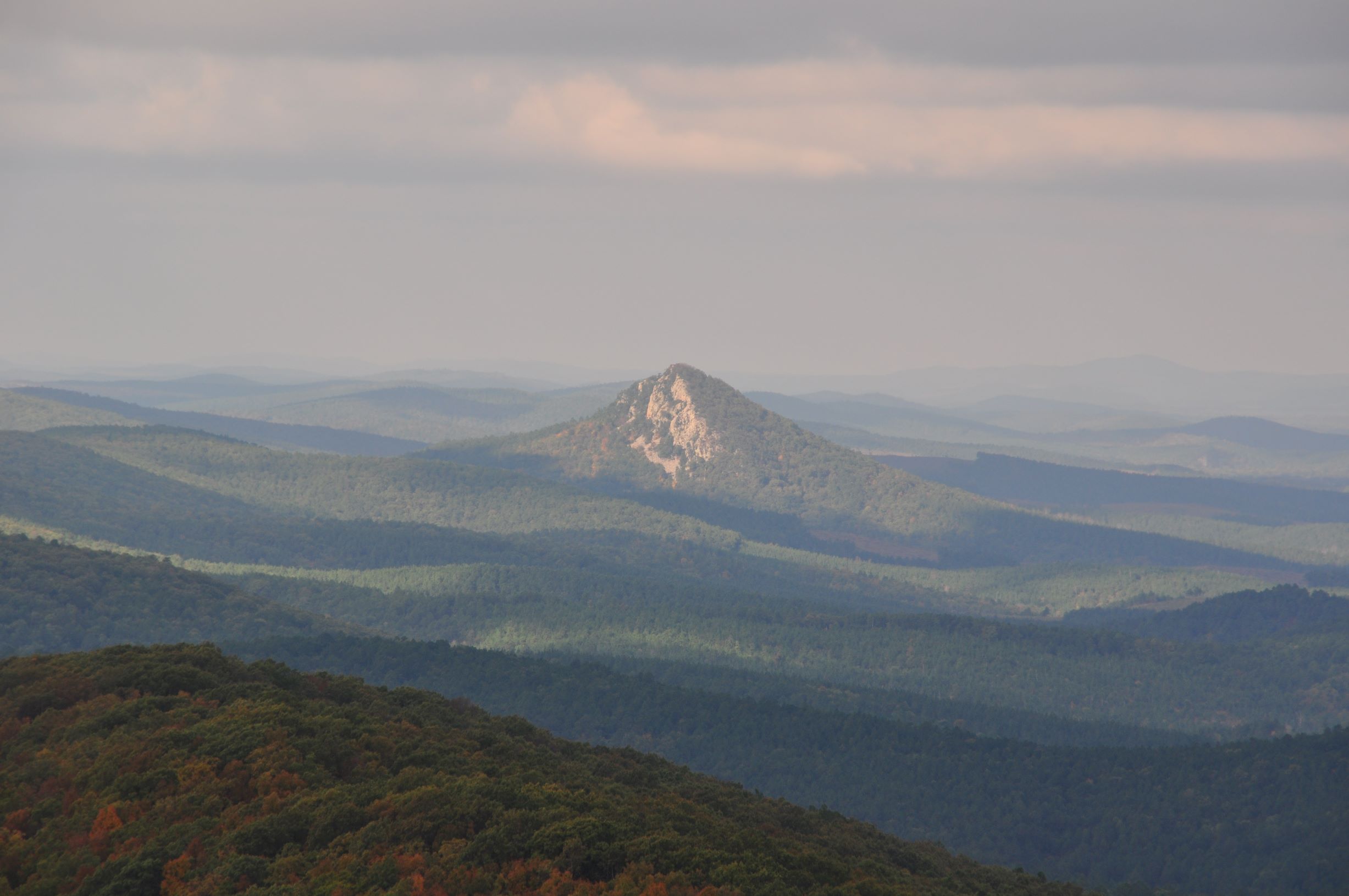 Picture of Forked Mountain by jeff Meek