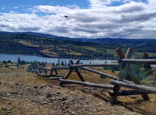 Log fencing on an open plateau with a view of the Columbia River.