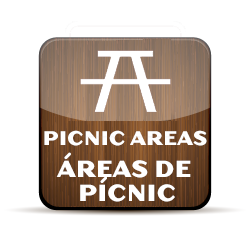 El Yunque National Forest - Picnicking:Picnicking