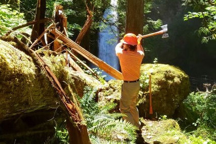 A worker with axe working on clearing a log from trail on sunny day in forest.