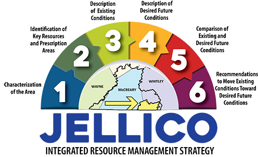 Jellico IRMS infographic 520x317