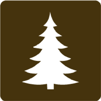 Click for Christmas tree permit info
