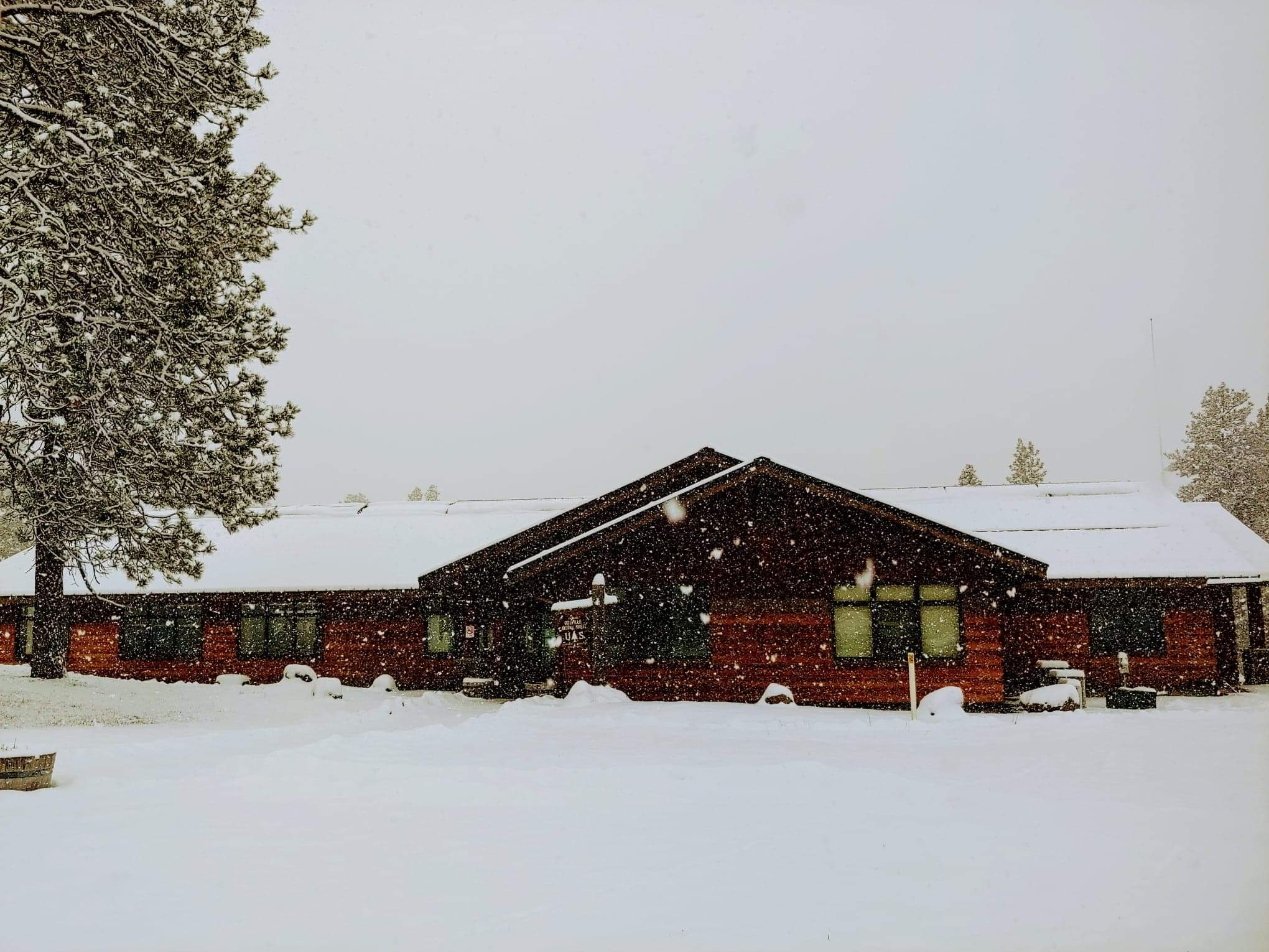 Republic Ranger District in Snow