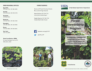 A flyer of the forest stewardship program
