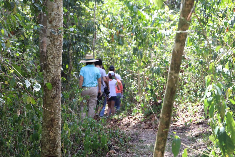 Río Hondo Community Forest memebers walking through a forest trail