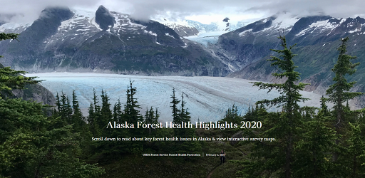 Cover of the 2020 Alaska Forest Health Storymap