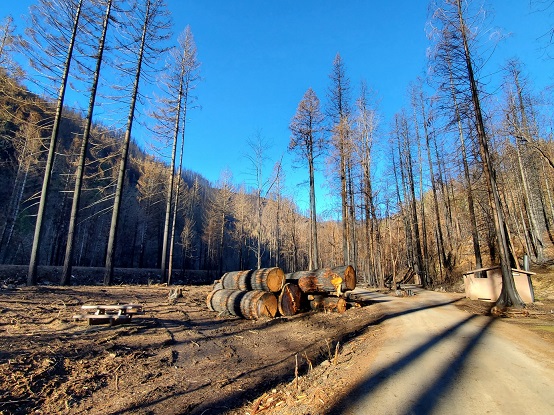 Roaring River Campground after Riverside Fire